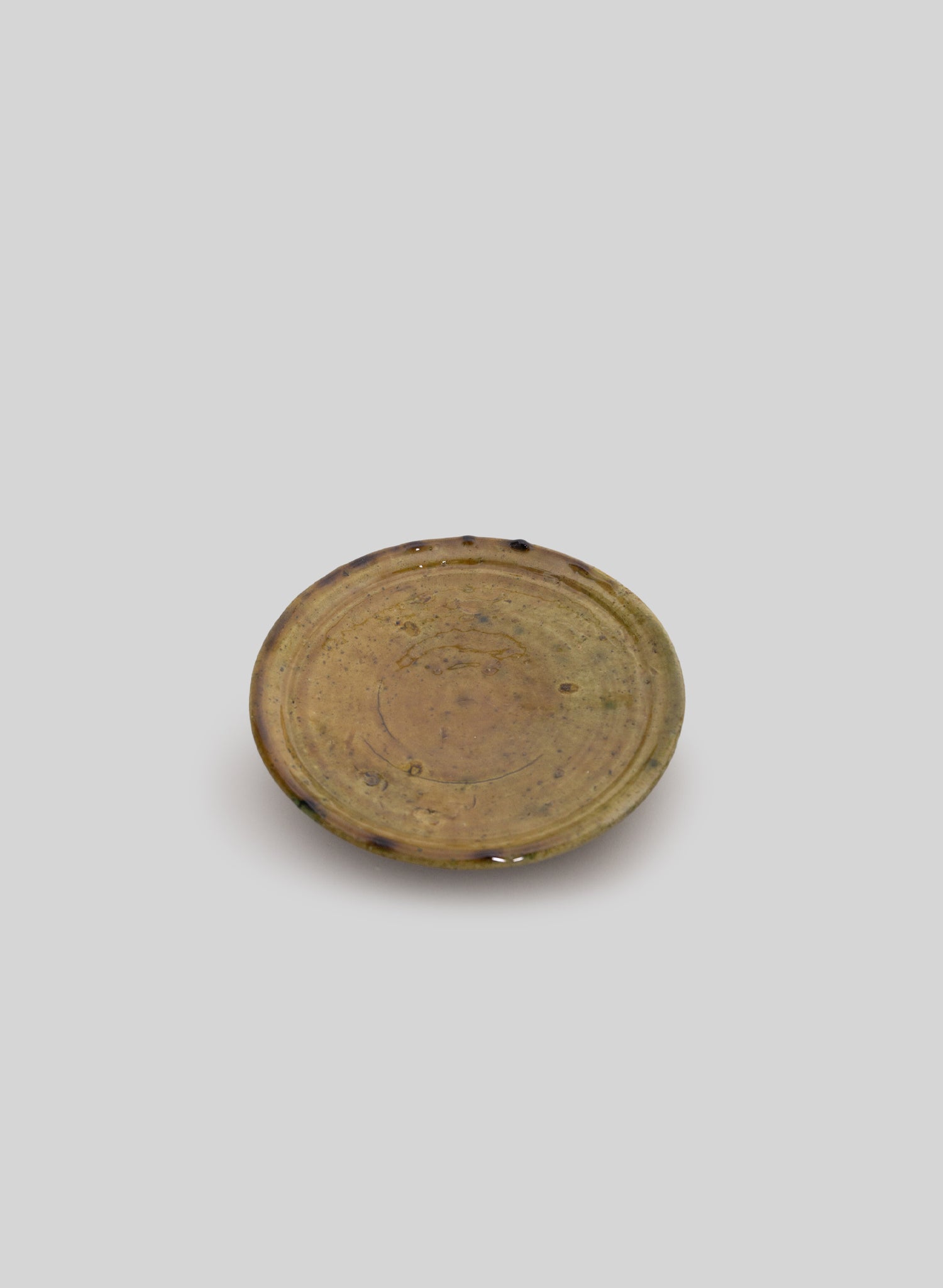 Tamegroute Dining Plate, Olive